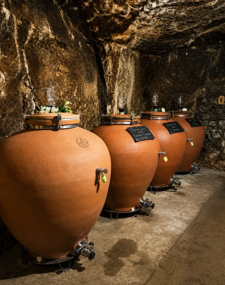 Visite de cave près de Angers